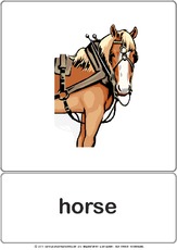 Bildkarte - horse.pdf